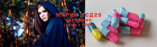индика Алексеевка