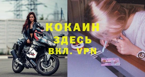 индика Алексеевка