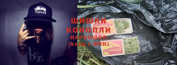 индика Алексеевка