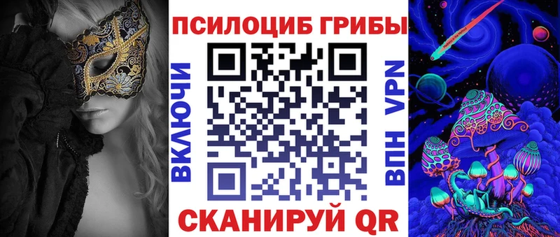 Купить где  Лысьва  Псилоцибиновые грибы Psilocybe 